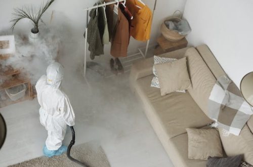 A man doing pest control